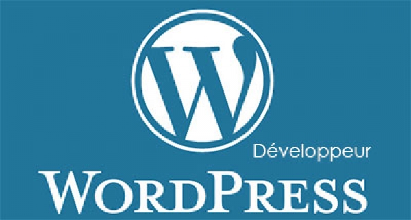 Formation WordPress Développeur