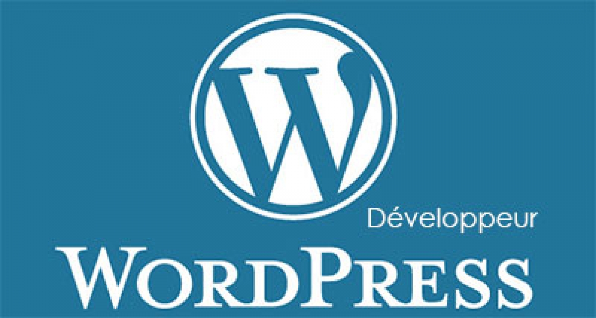 Formation WordPress Développeur