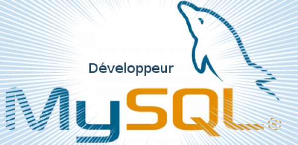 Formation MySQL pour Développeur