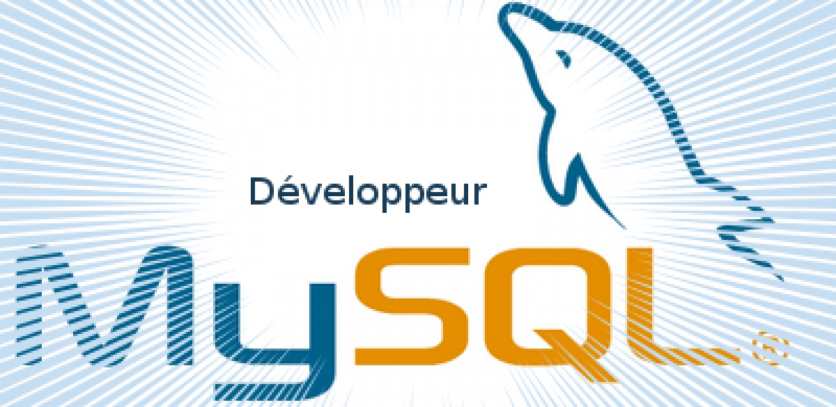 Formation MySQL pour Développeur